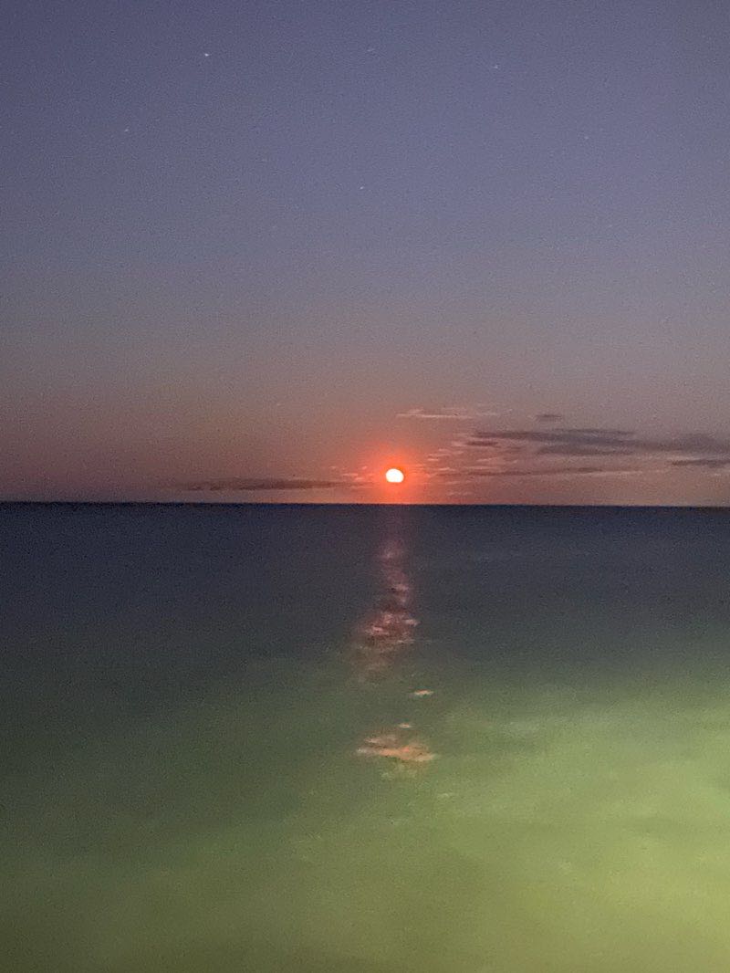 walking near me in Dawes Park in winter