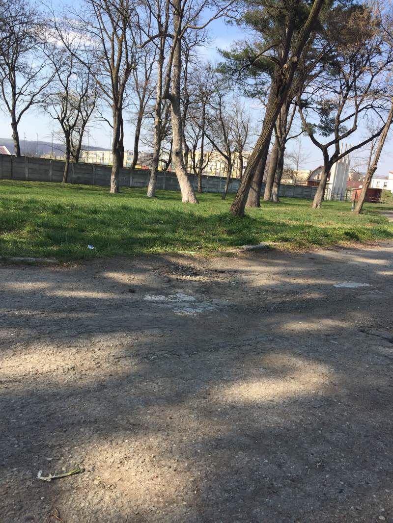 walking near me in Parcul 1 Mai in winter