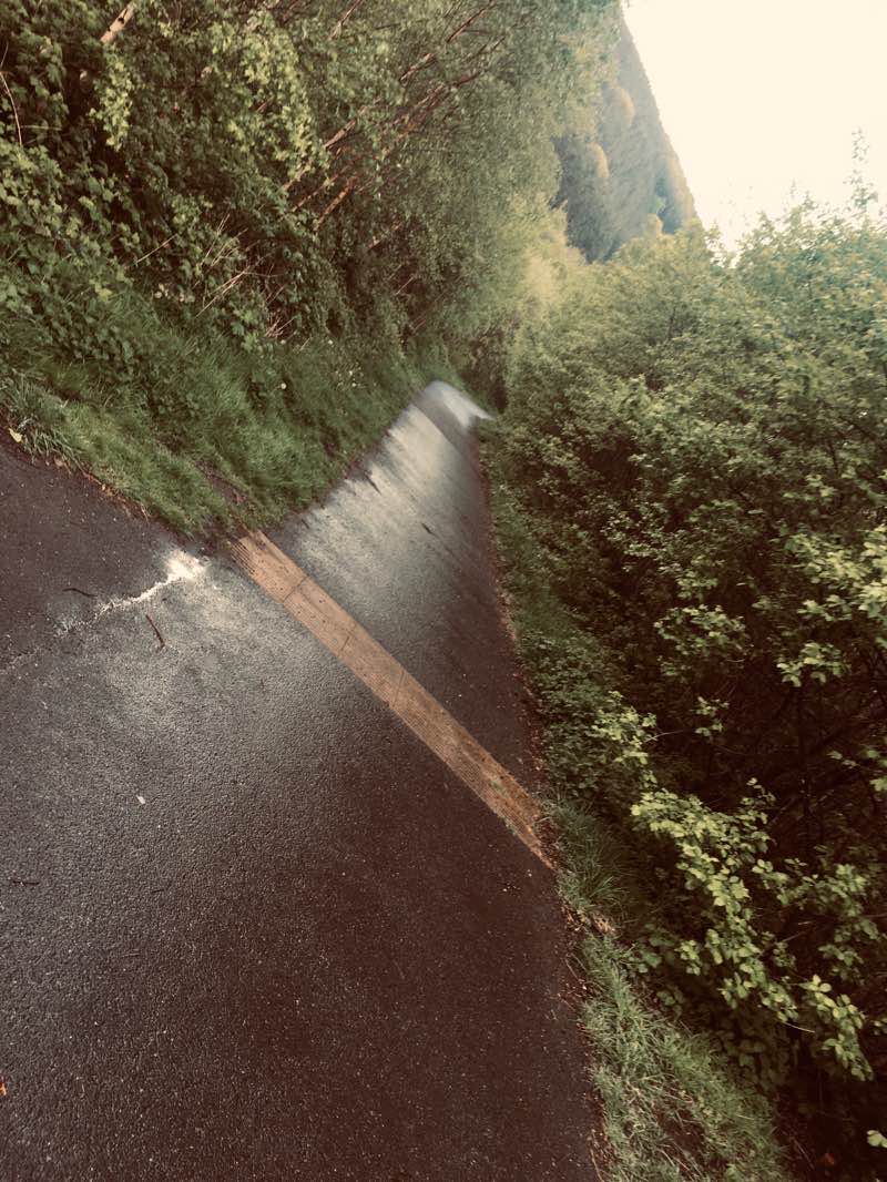 walking near me in Parc Arael Griffin in winter