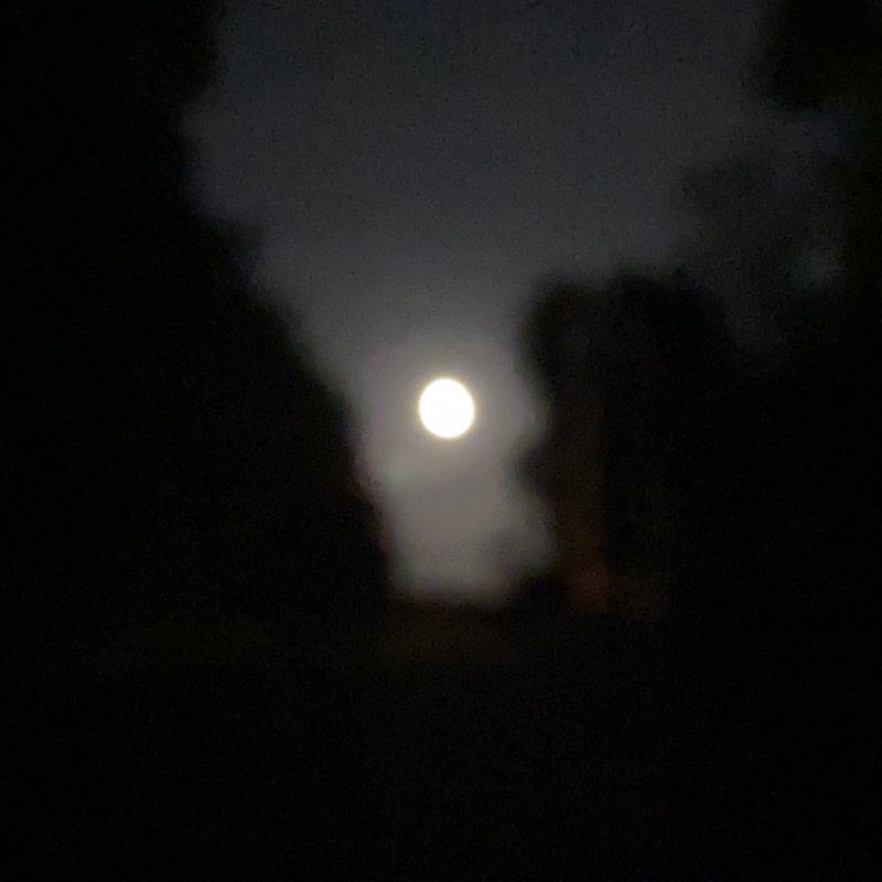 1armgolfer💪🏻💪🏻🚶🏻🚶🏻🏌🏻🏌🏻💪🏻💪🏻 post 1