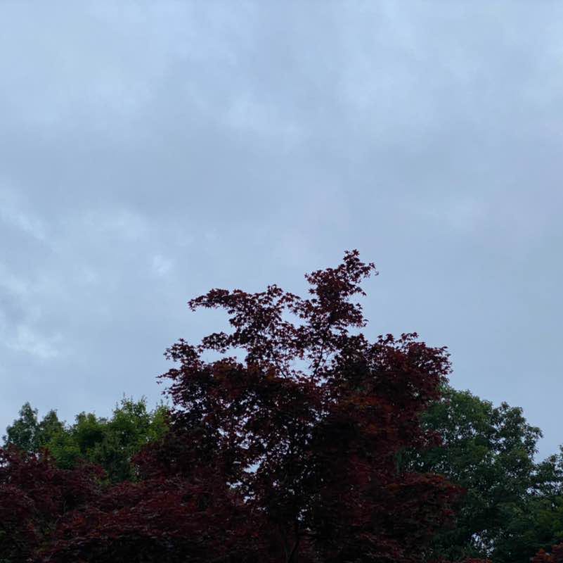 1armgolfer💪🏻💪🏻🚶🏻🚶🏻🏌🏻🏌🏻💪🏻💪🏻 post 2