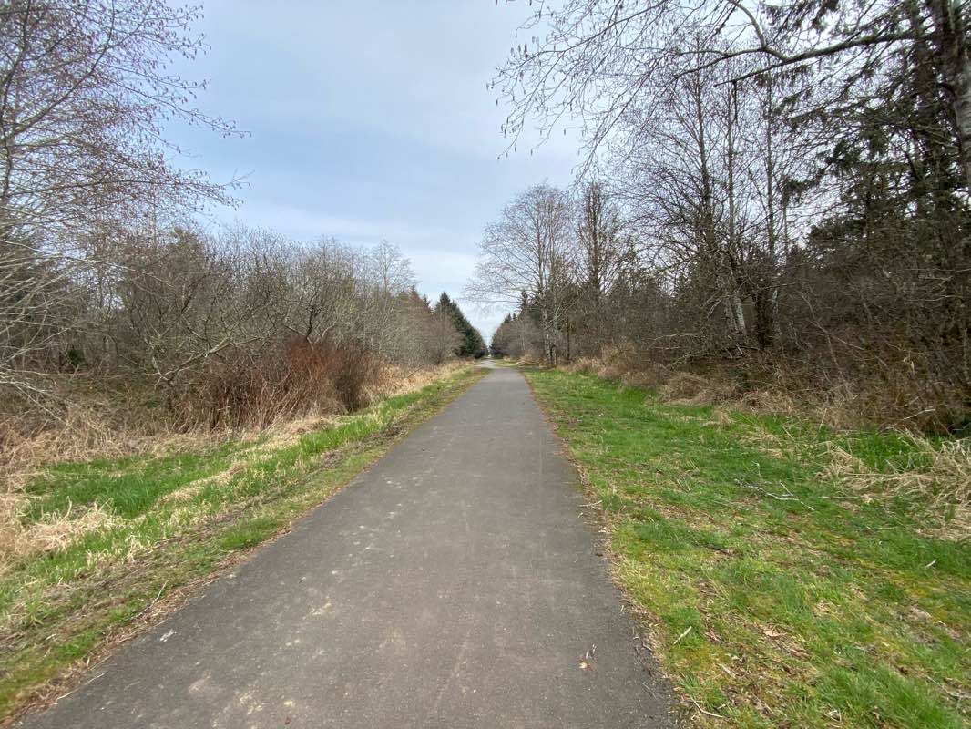 walking near me in Basich Trailway in winter
