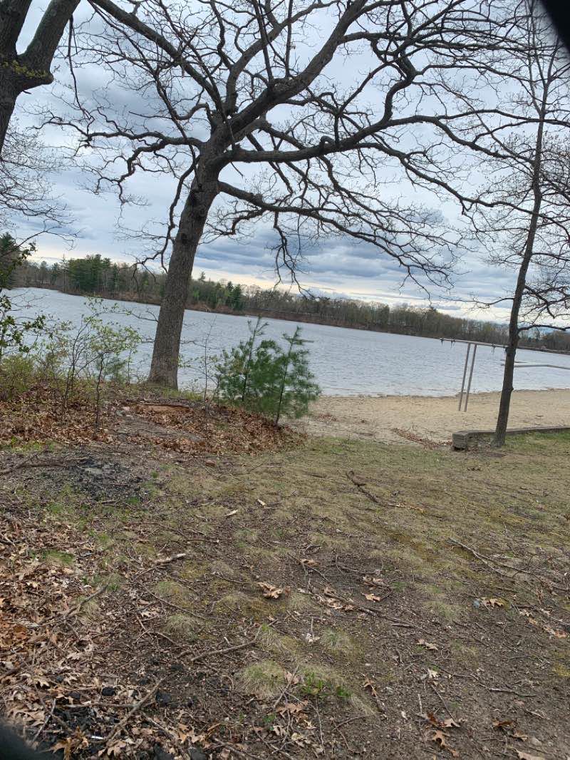 walking near me in Natick Town Forest in winter