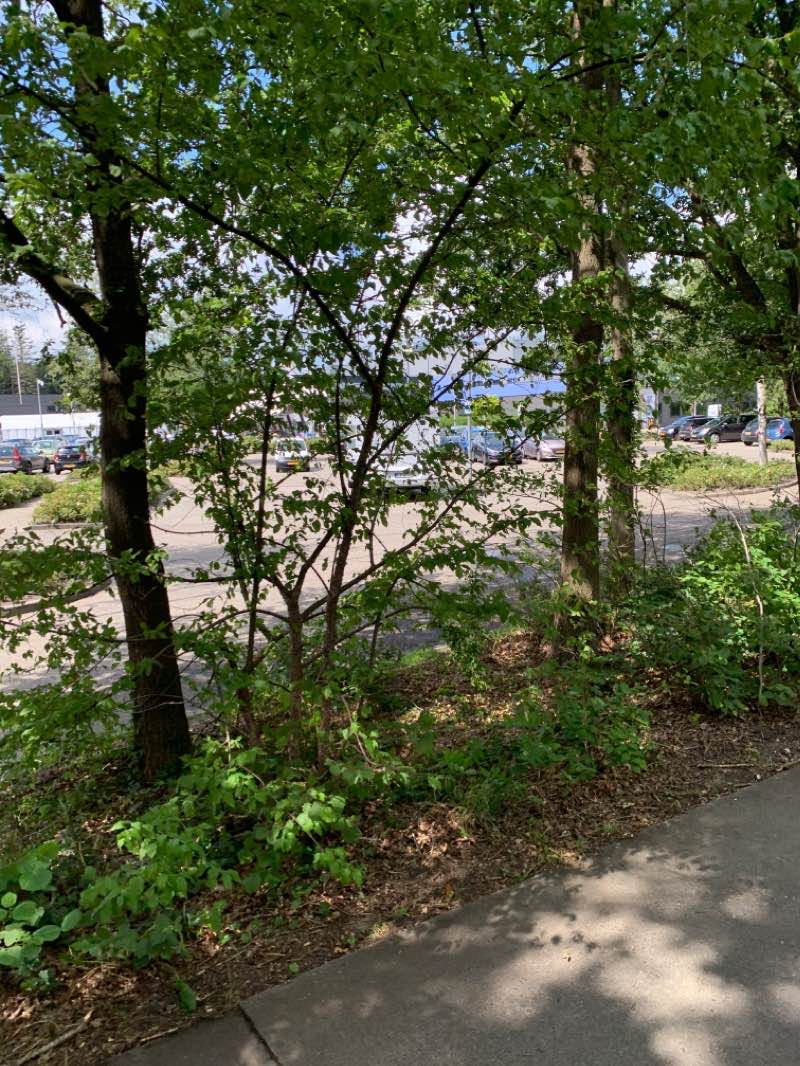 walking near me in Valkenstijn in winter