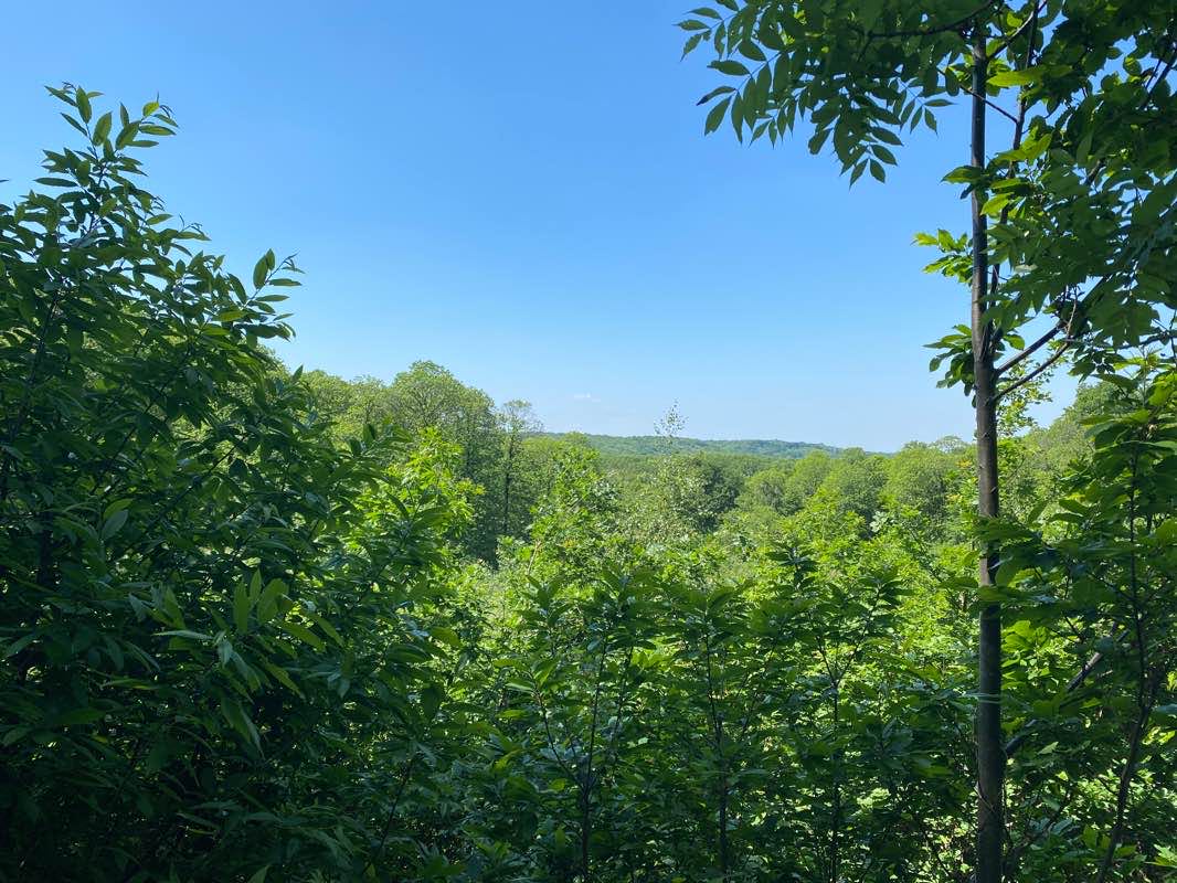walking near me in Square de la Maraise in winter