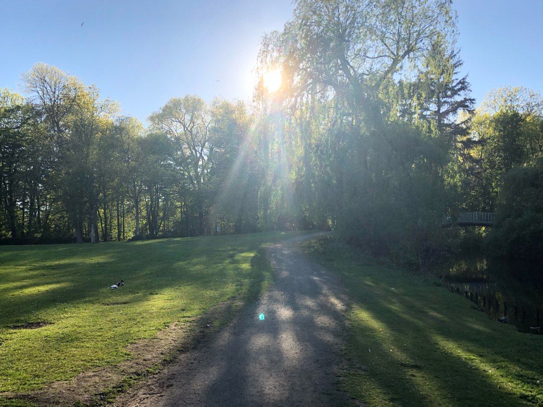 walking near me in Bürgerpark in winter