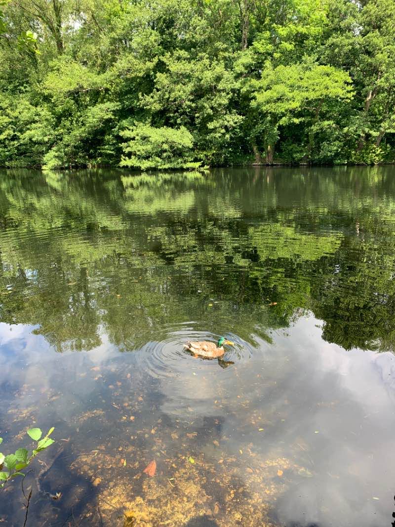 walking near me in Witton Lakes in winter