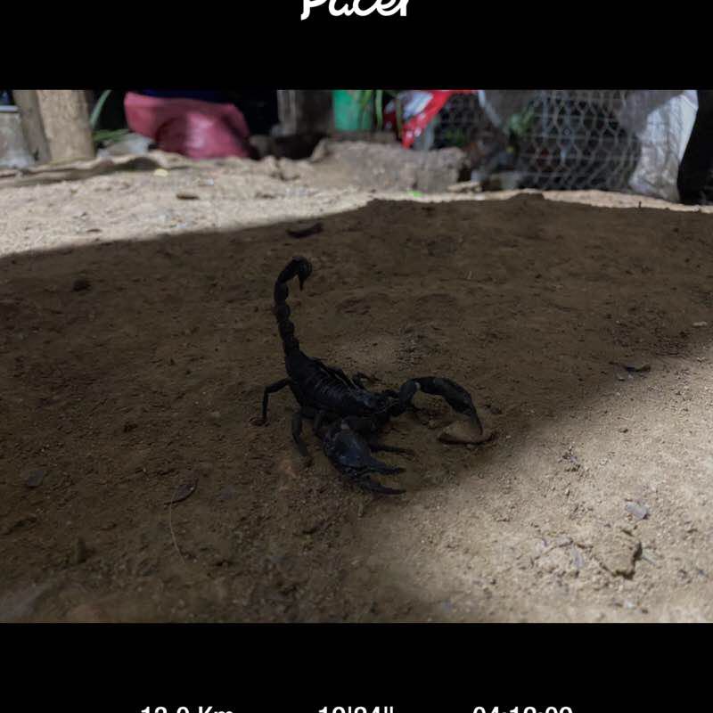 Nhã post 1
