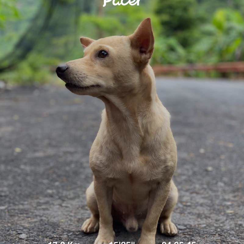 Nhã post 1