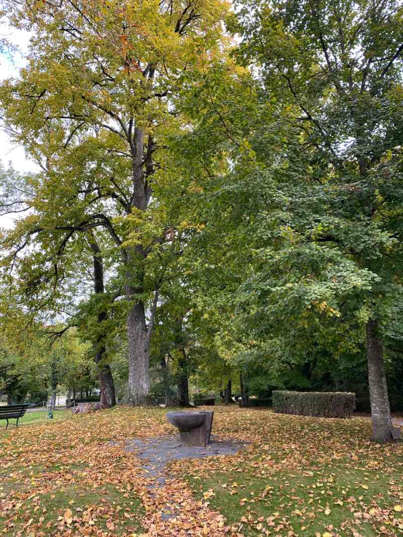 walking near me in Esplanade de Montbenon in winter