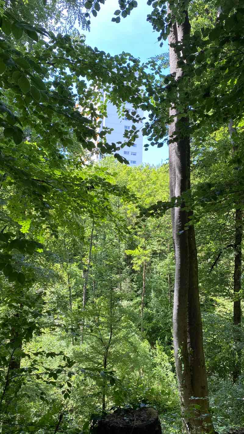 walking near me in Vallée-de-la-Jeunesse in winter