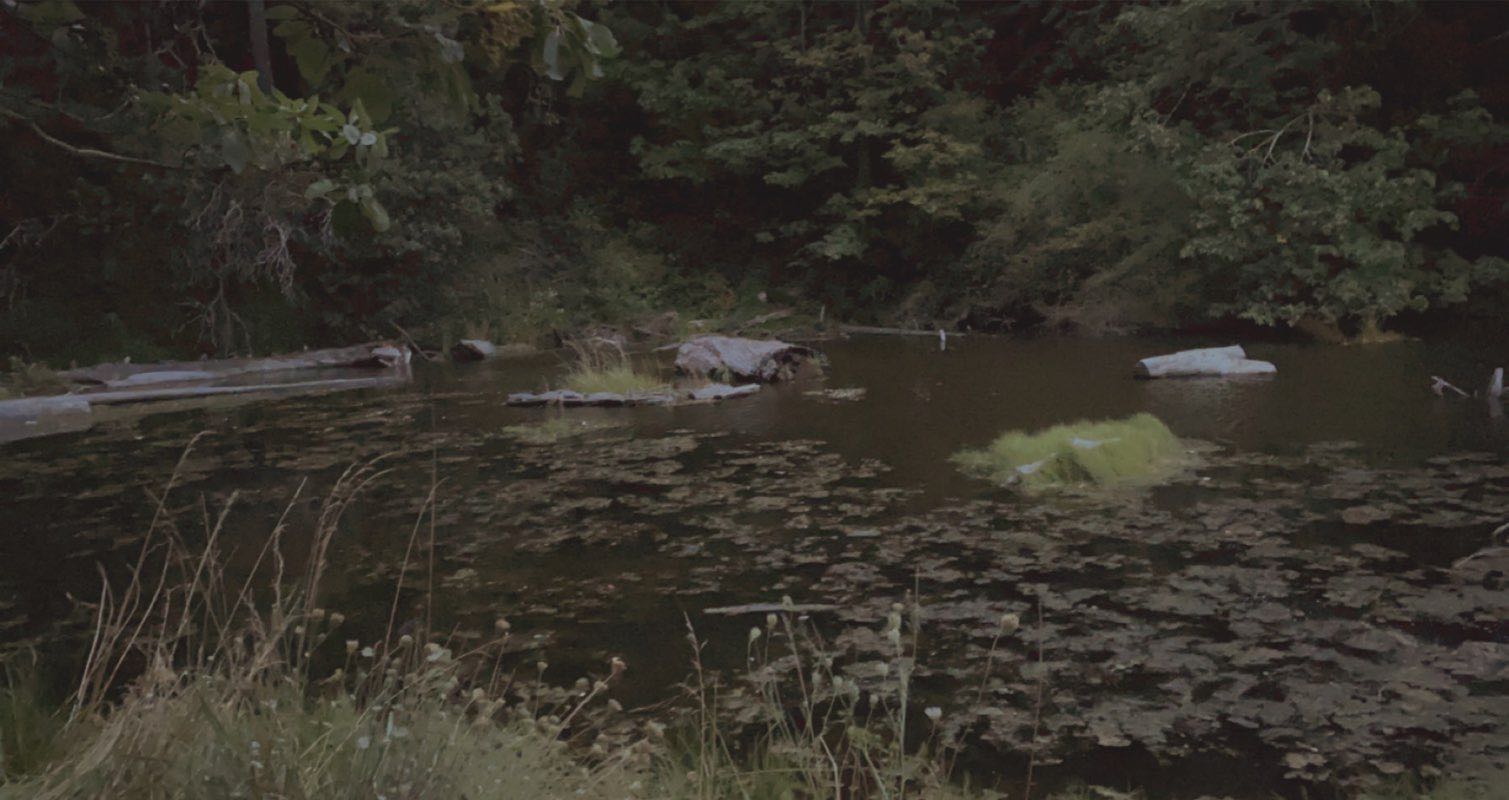 walking near me in Burfoot Park in winter