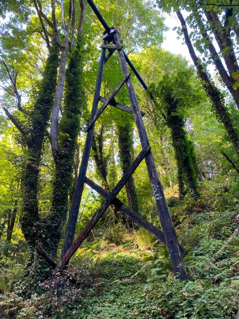walking near me in Garfield Nature Trail Park in winter