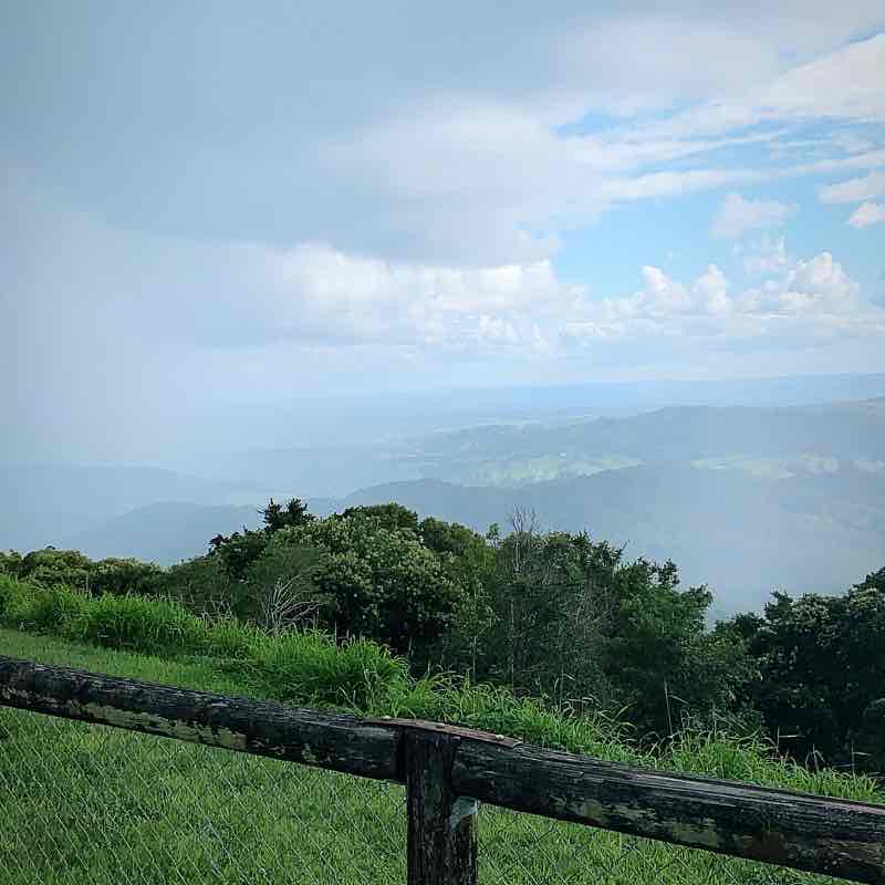 🇦🇺 Viktor Danté 🇦🇺 post 2