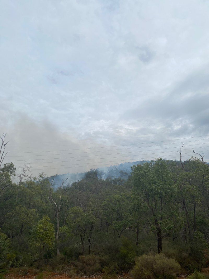 walking near me in Beelu National Park in summer