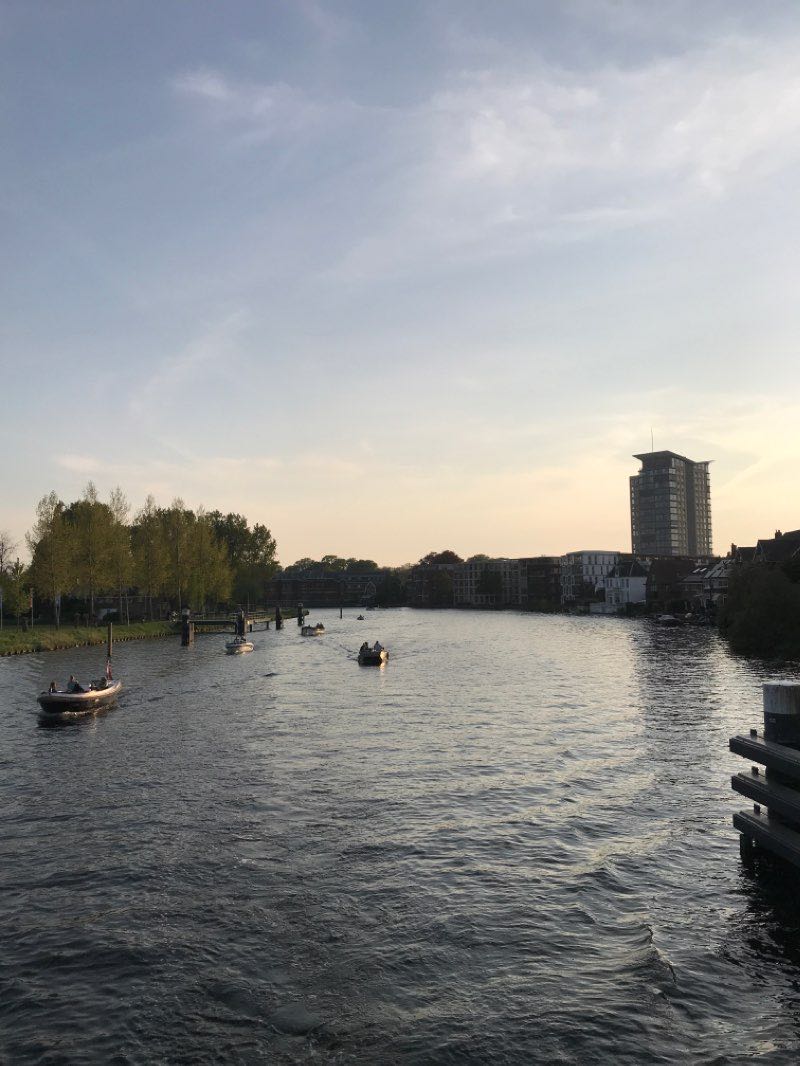 walking near me in Haarlemmerhout in winter