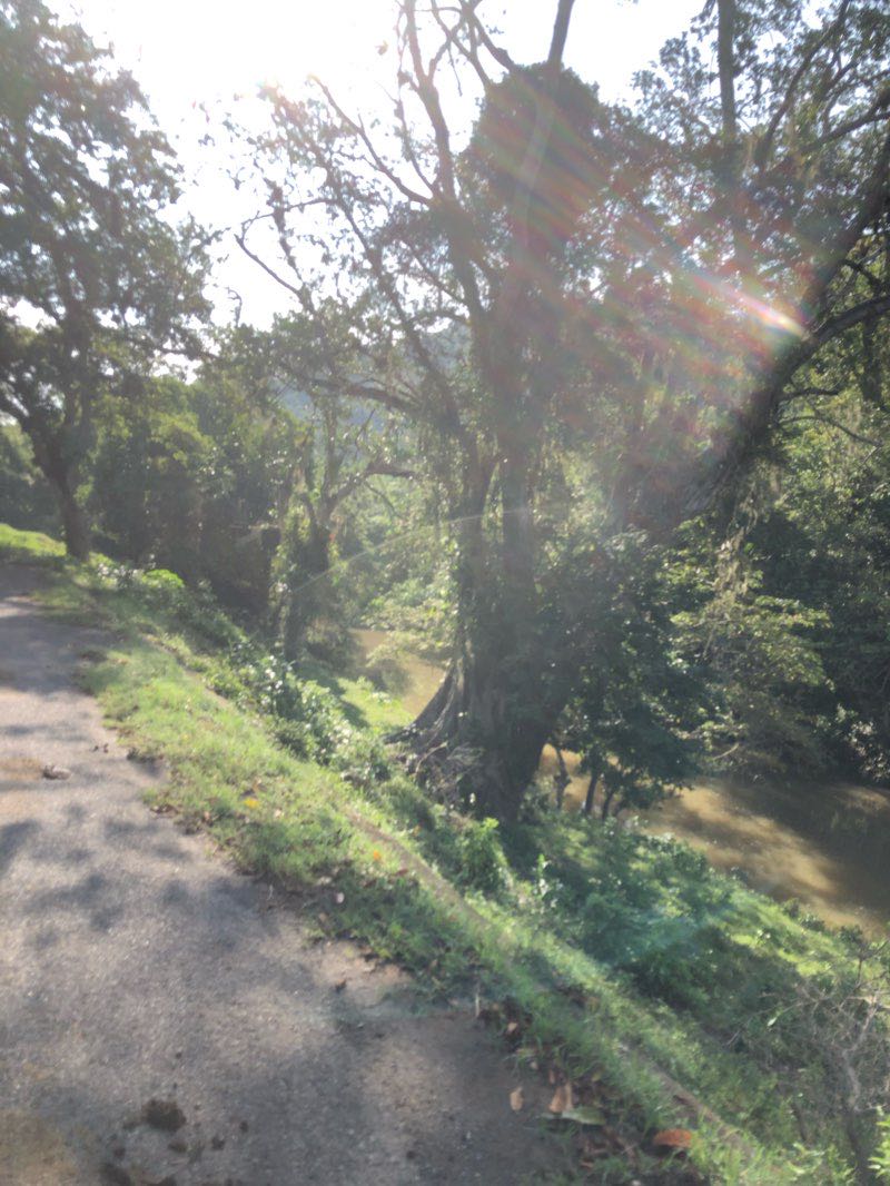 walking near me in Parque Furberos in winter