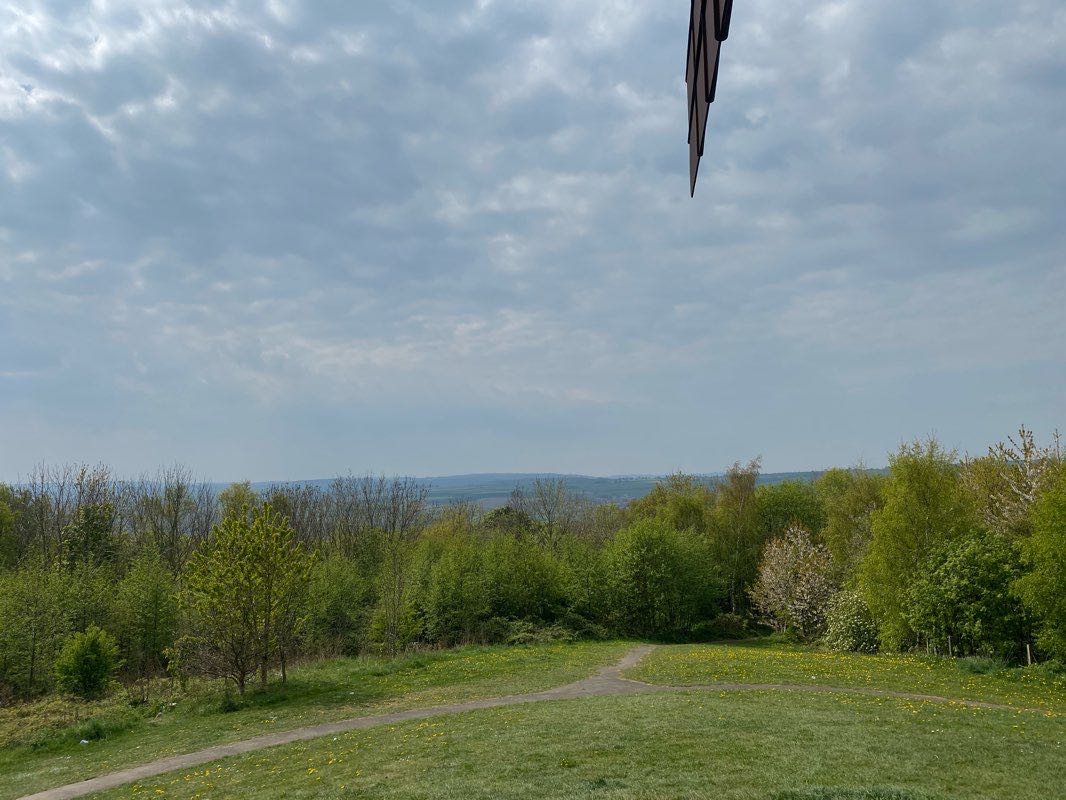 walking near me in St. Anthony's Park in winter