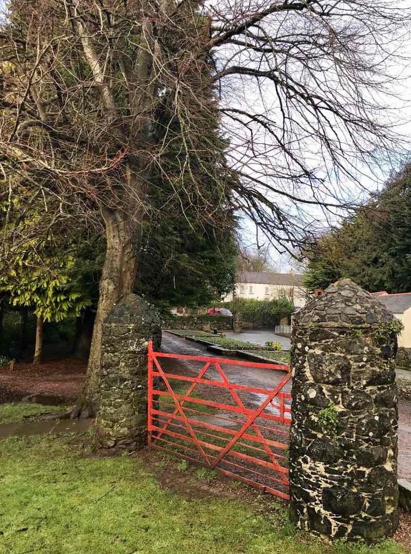 walking near me in Tannaghmore Gardens in winter