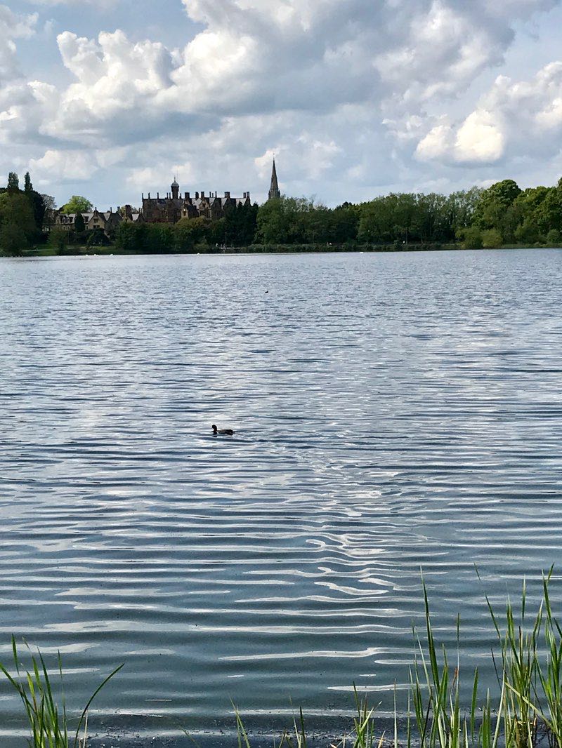 walking near me in Lurgan Park in winter