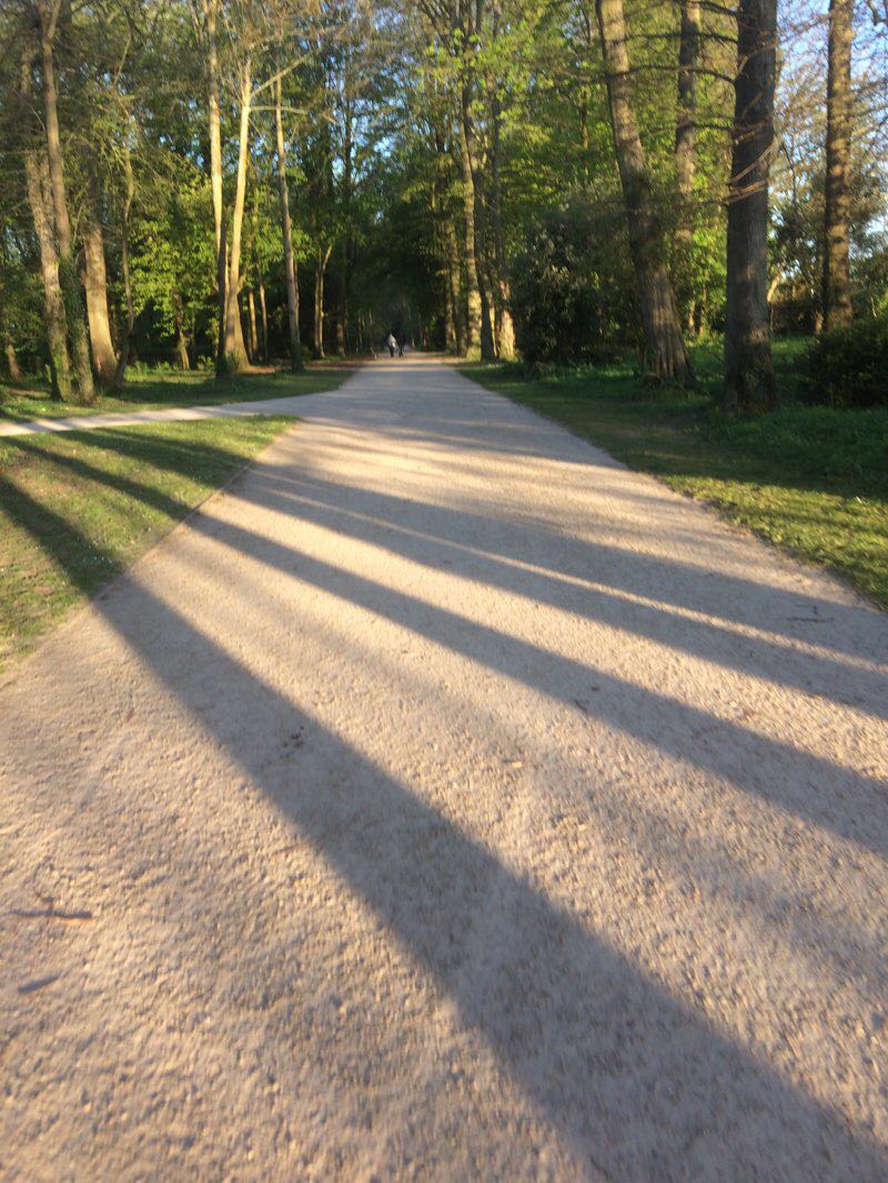 walking near me in Antrim Castle Gardens & Clotworthy House in winter