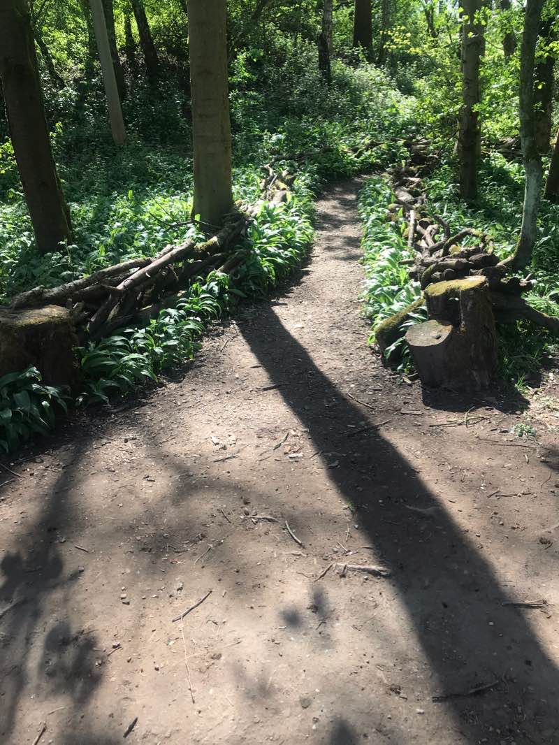 walking near me in Victoria Park in winter