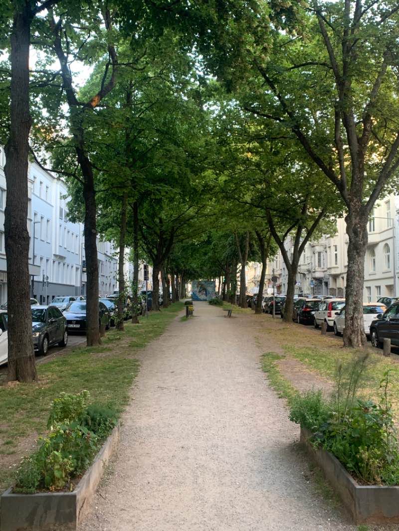 walking near me in Ferberpark in winter