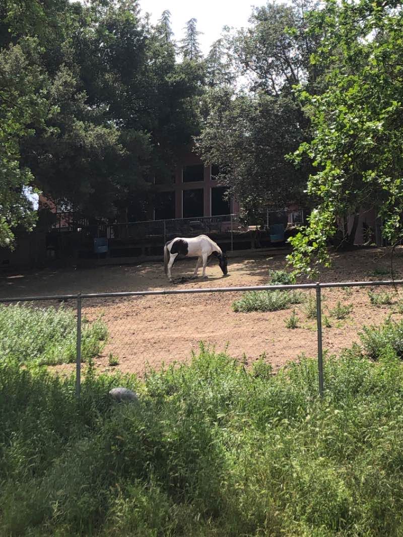 walking near me in East La Loma Park in winter