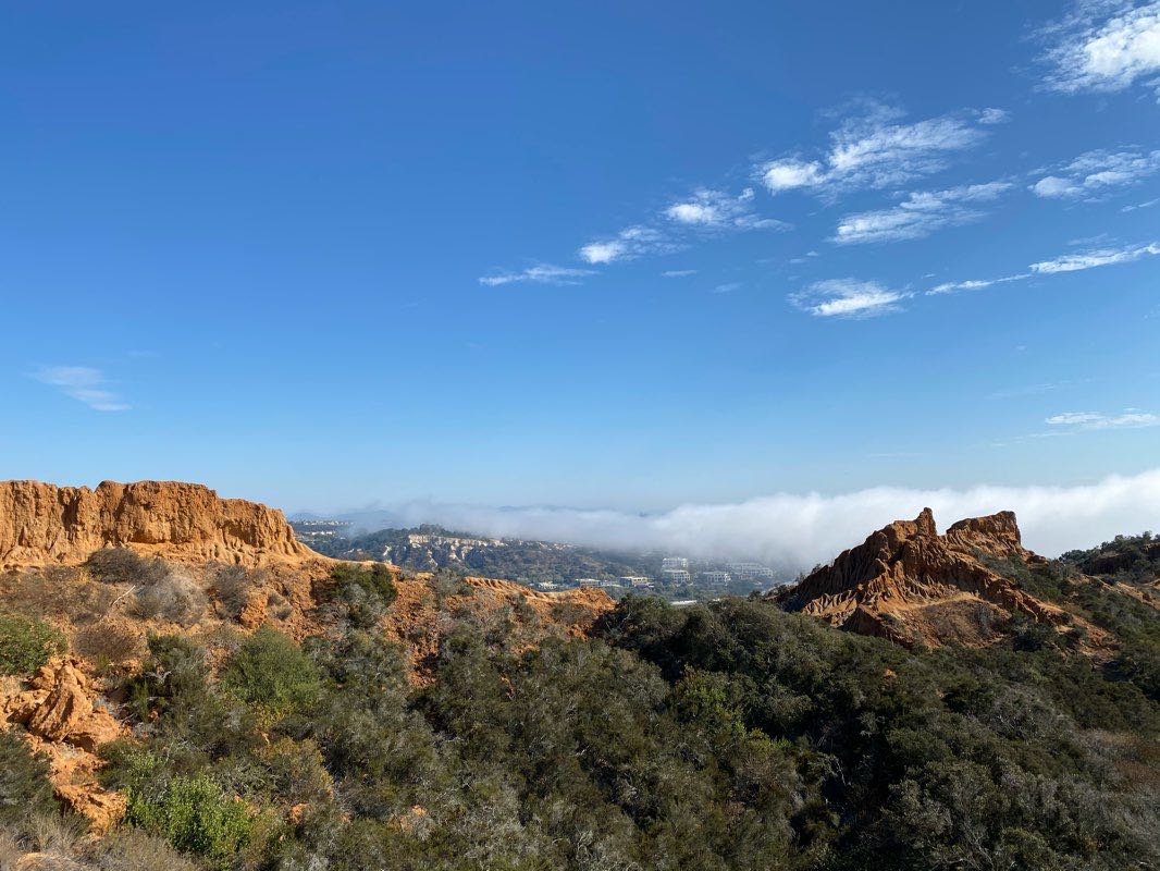 walking near me in Torrey Pines State Natural Reserve Extension in winter