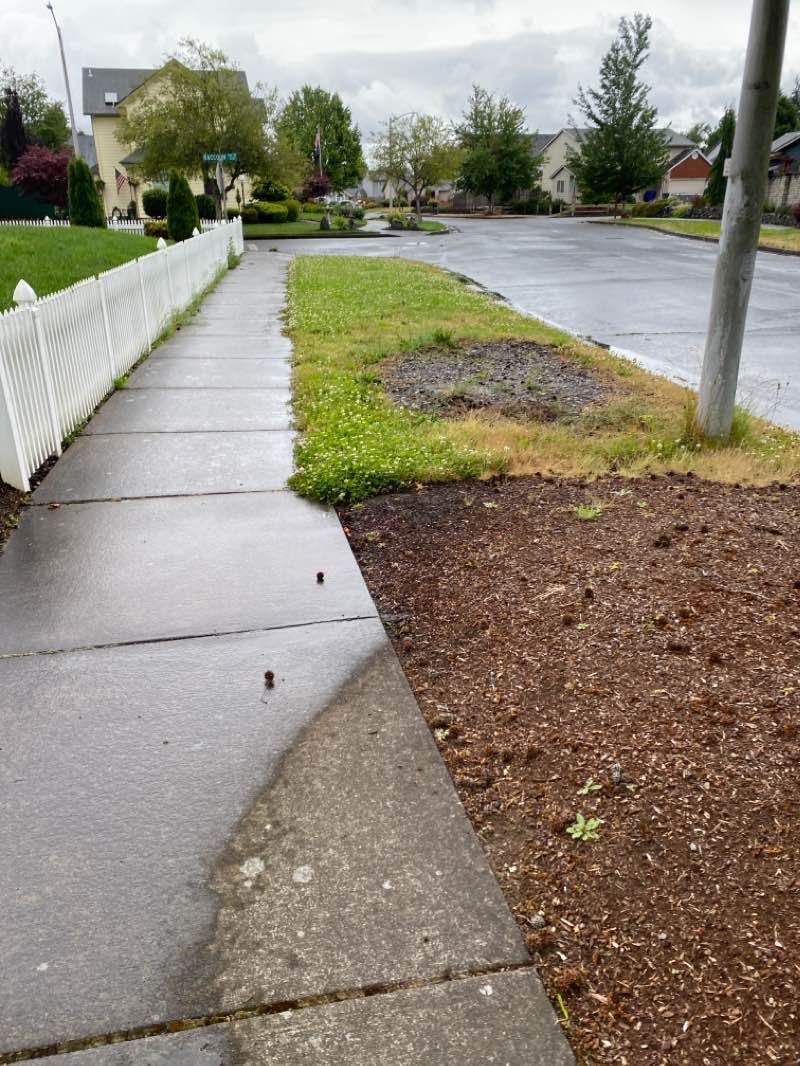 walking near me in Hoodview Park in winter