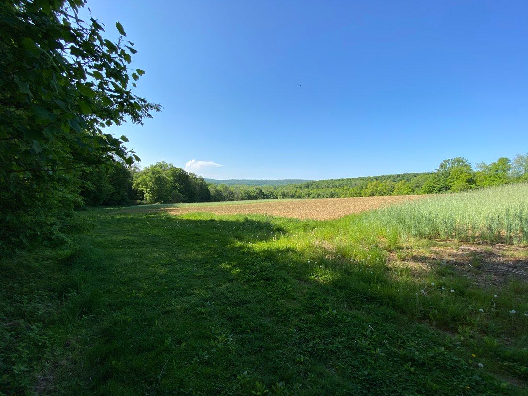 walking near me in Crow's Nest Preserve in winter