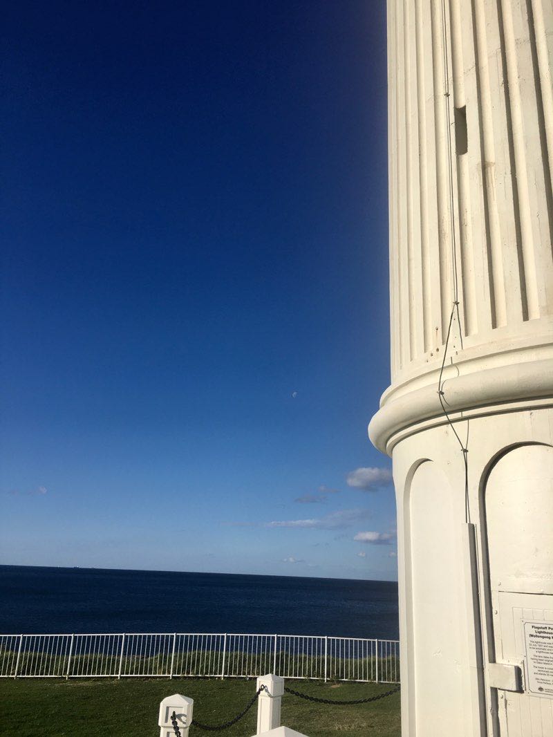 walking near me in Lang Park in summer