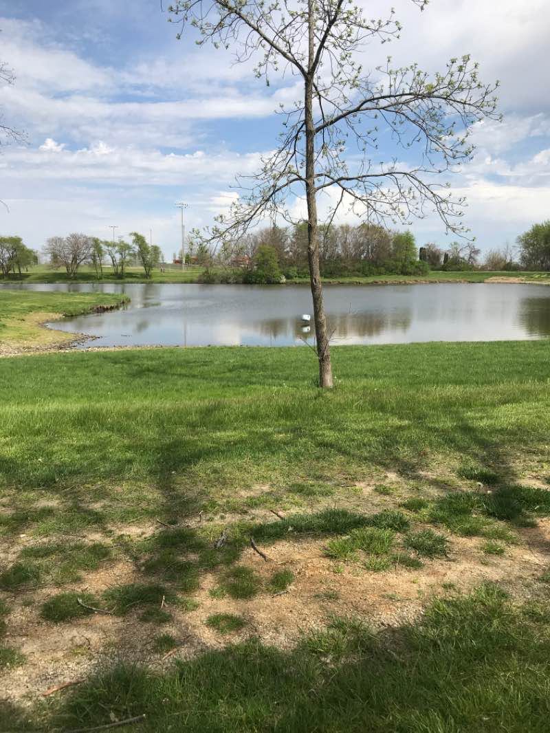 walking near me in East Lake Park in winter