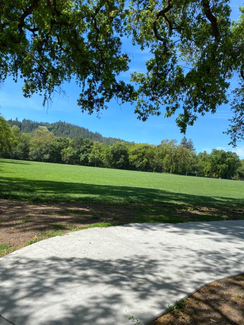 walking near me in Logvy Community Park in winter