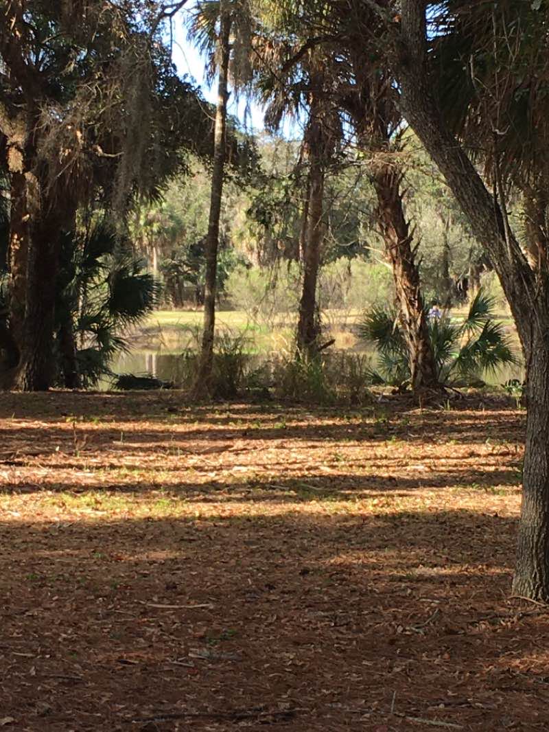 walking near me in Red Bug Slough Preserve in winter