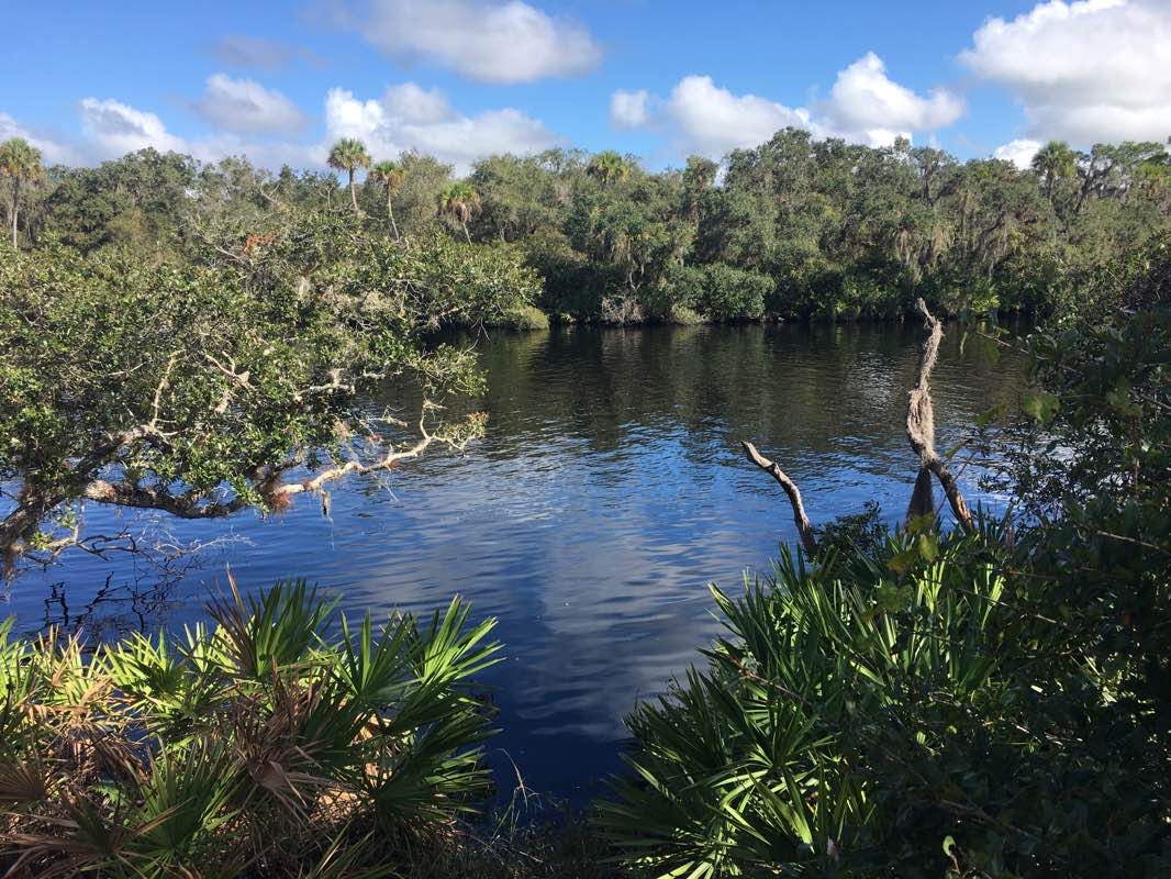 walking near me in Jelks Preserve in winter