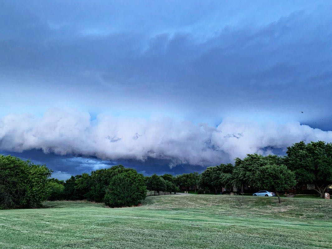 walking near me in Ward Steenson Park in winter
