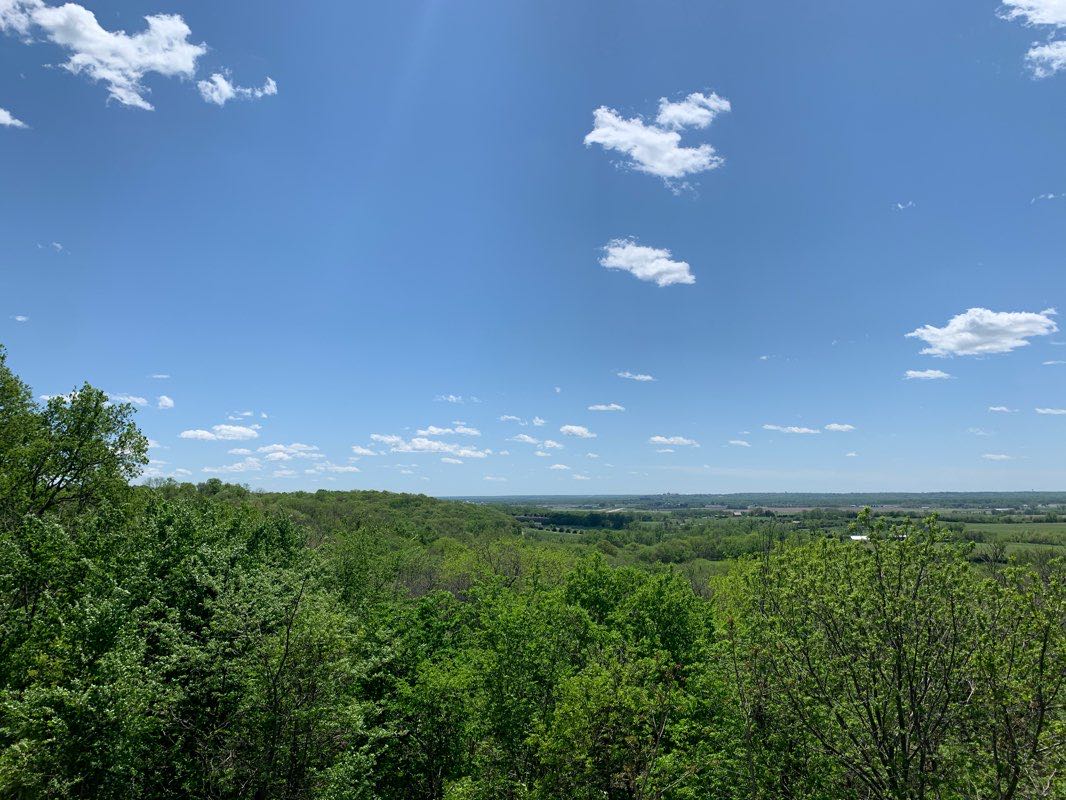 walking near me in McColl Nature Reserve in winter