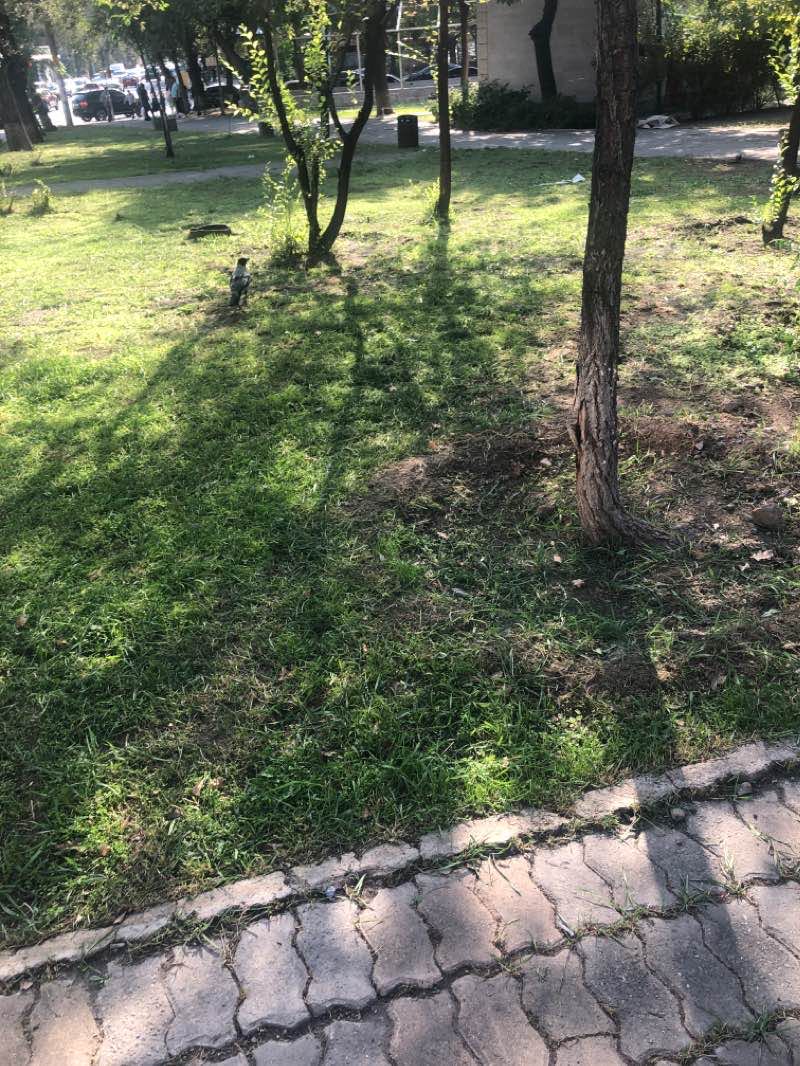 walking near me in Circular Park in winter