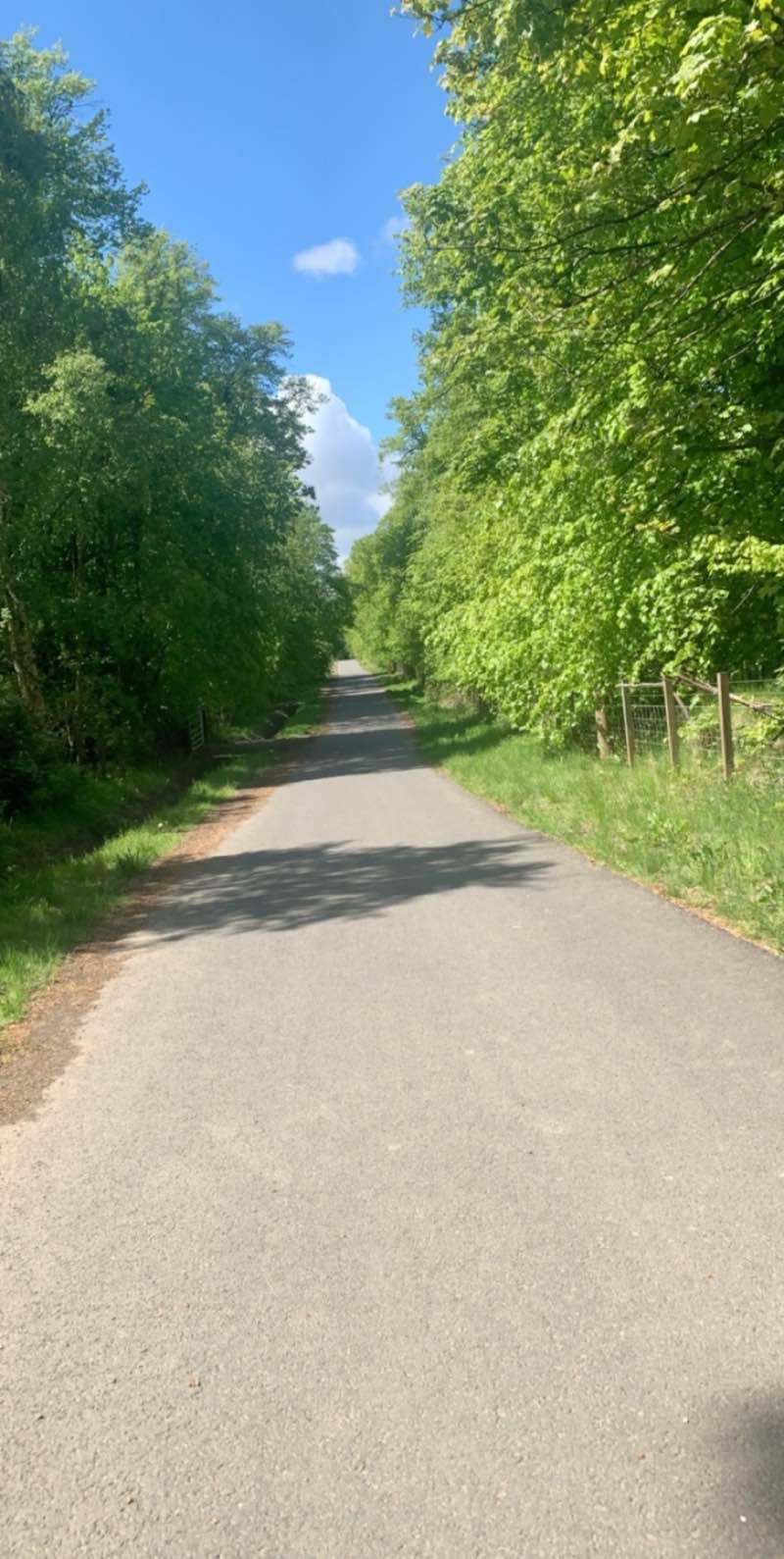 walking near me in Whifflet Park in winter