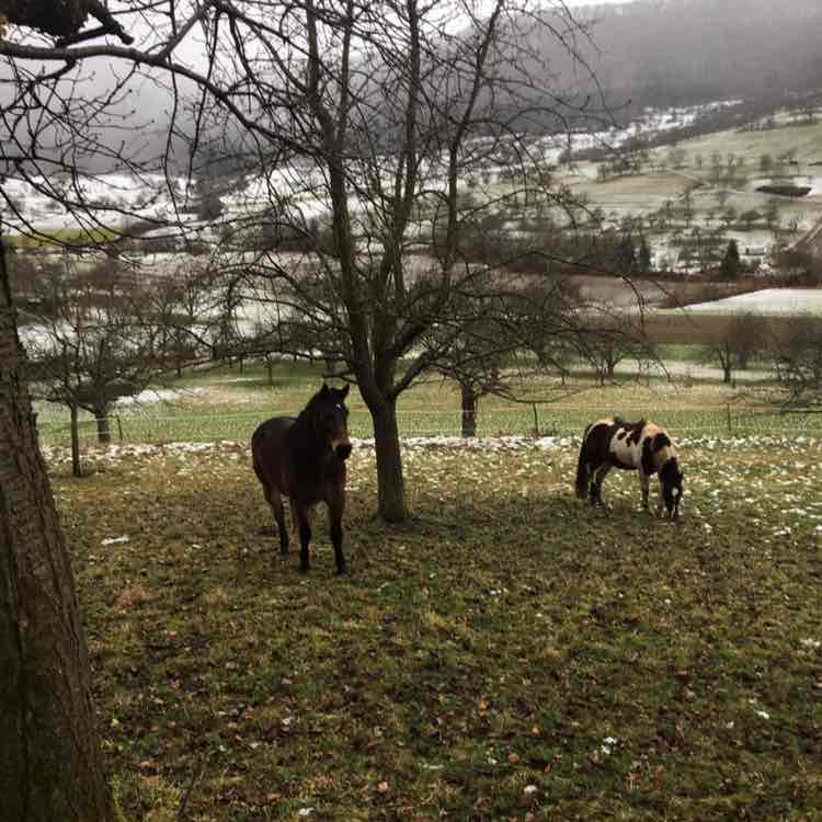 Alex 🤼🚴‍♂️🧗🎿 post 2