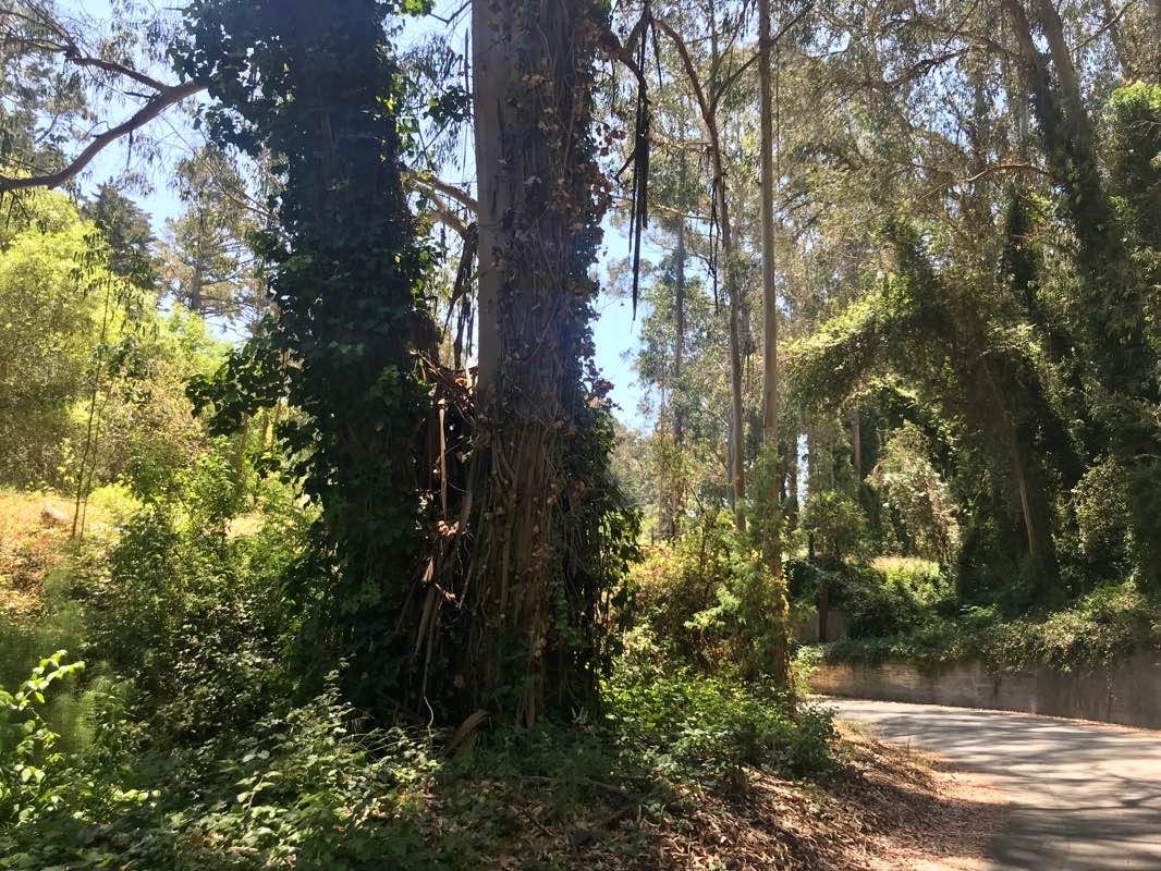 walking near me in New Brighton State Beach in winter