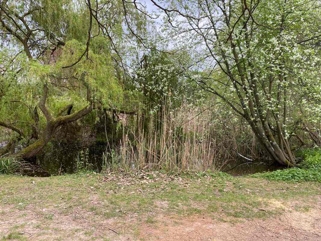 walking near me in Lahnwiesen in winter