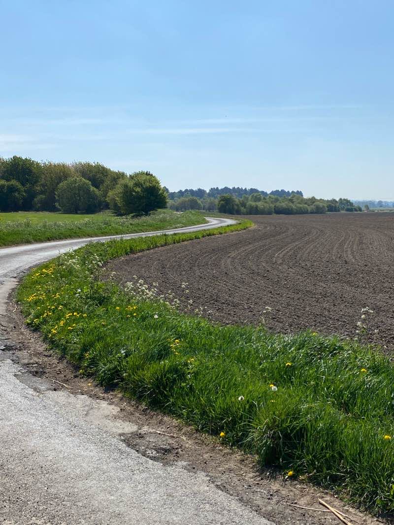 walking near me in Richmond Park in winter