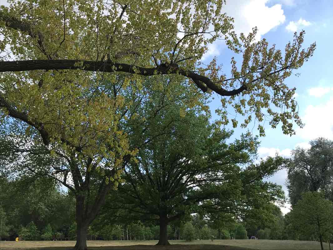 walking near me in Prins Hendrikpark in winter