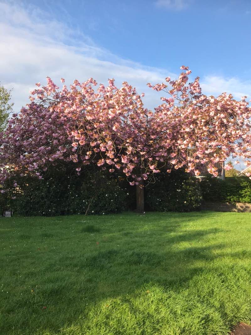 walking near me in Claypotts Skating Pond (disused) in winter