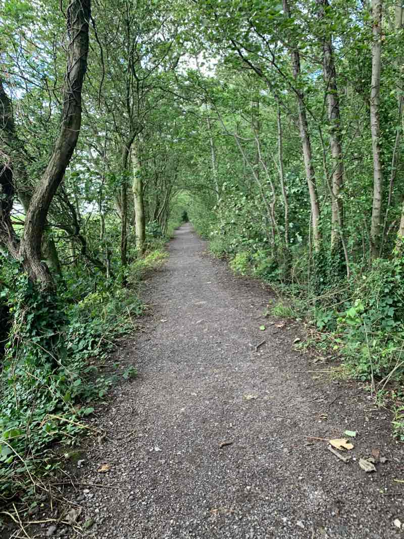 walking near me in Freeman's Woods in winter
