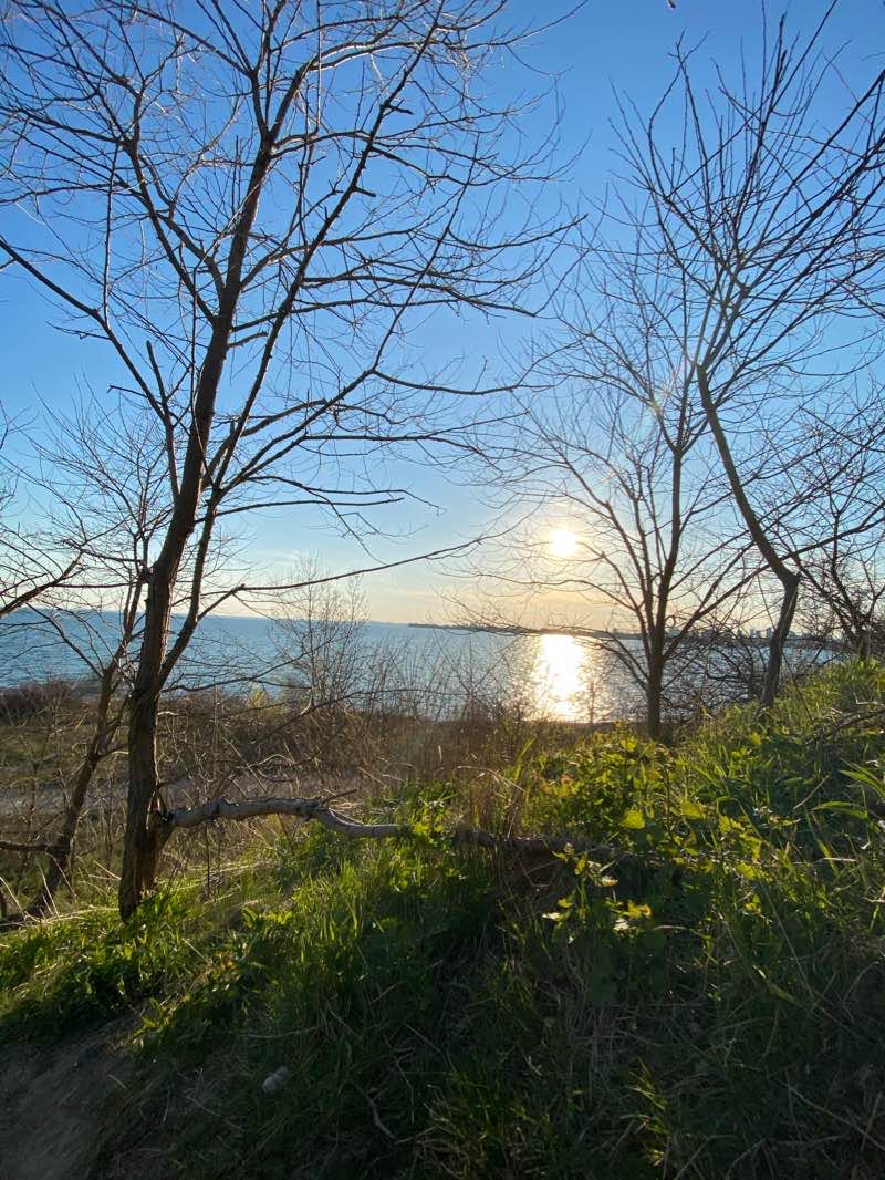 walking near me in Sir Casimir Gzowski Park in winter