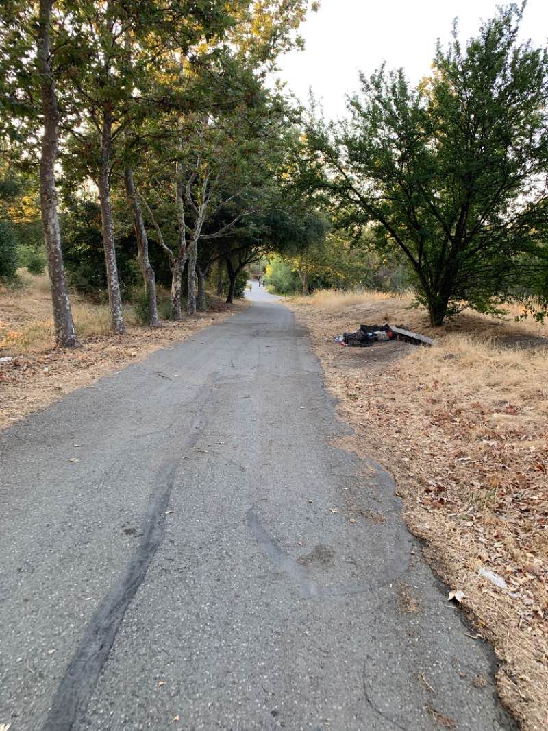 walking near me in Guadalupe River Park & Gardens in winter