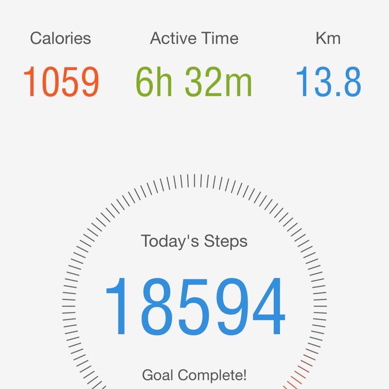 Lahore Walkers Khalid post image